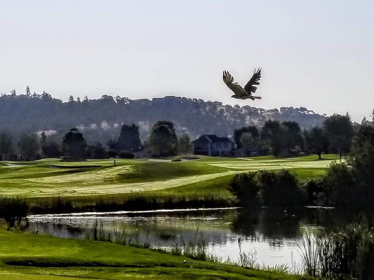 Resort At Eagle Point Golf Club Lodging Экстерьер фото