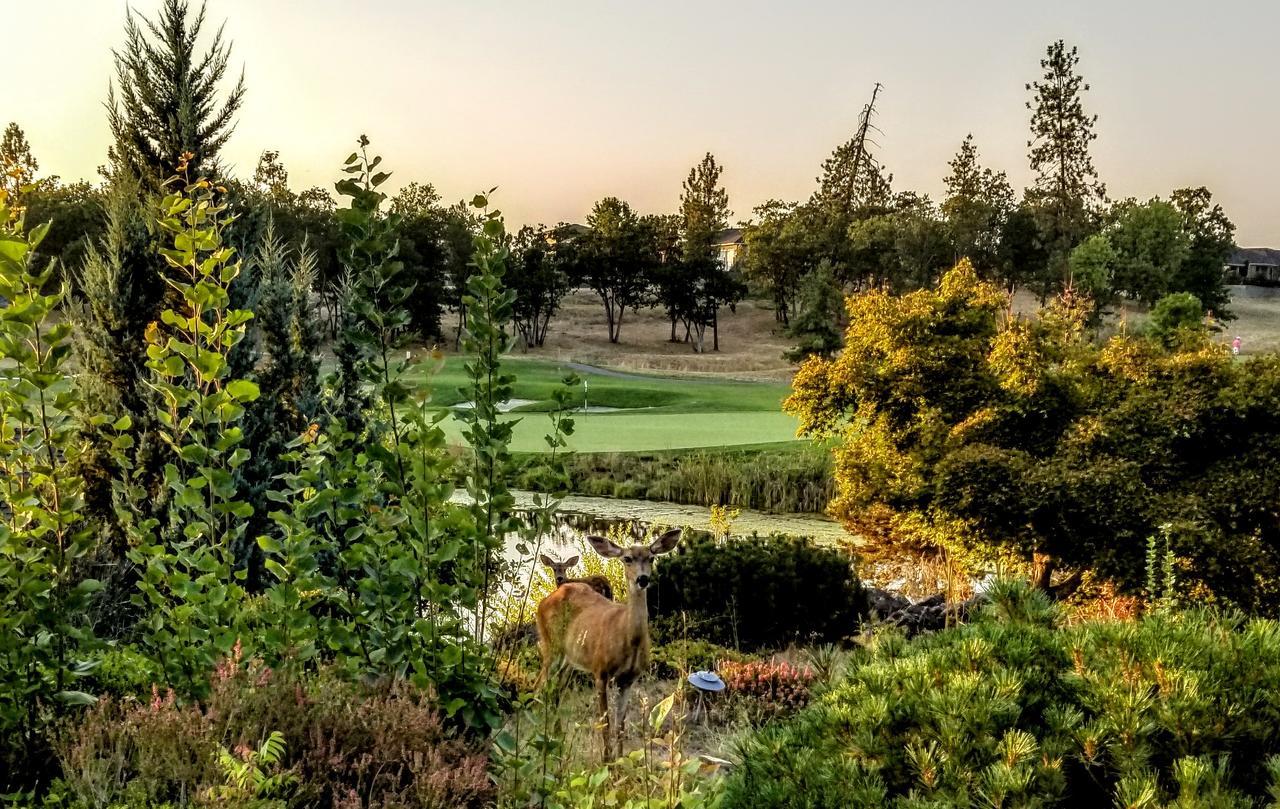 Resort At Eagle Point Golf Club Lodging Экстерьер фото
