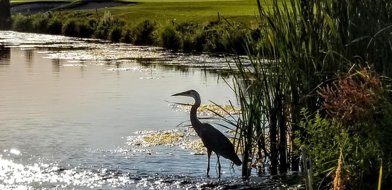 Resort At Eagle Point Golf Club Lodging Экстерьер фото